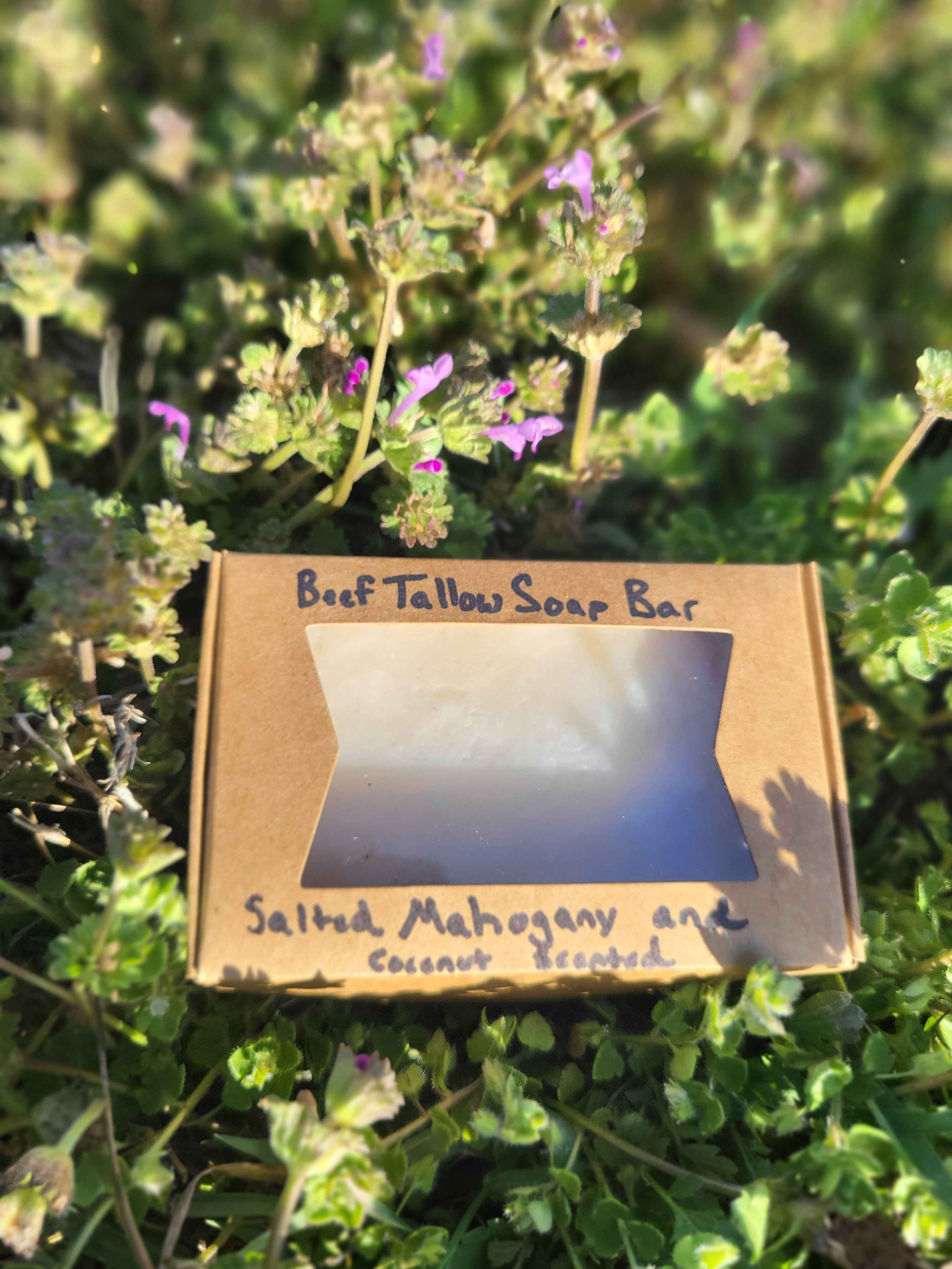 Beef Tallow Bar Soap, Salted Mahogany & Coconut Scented