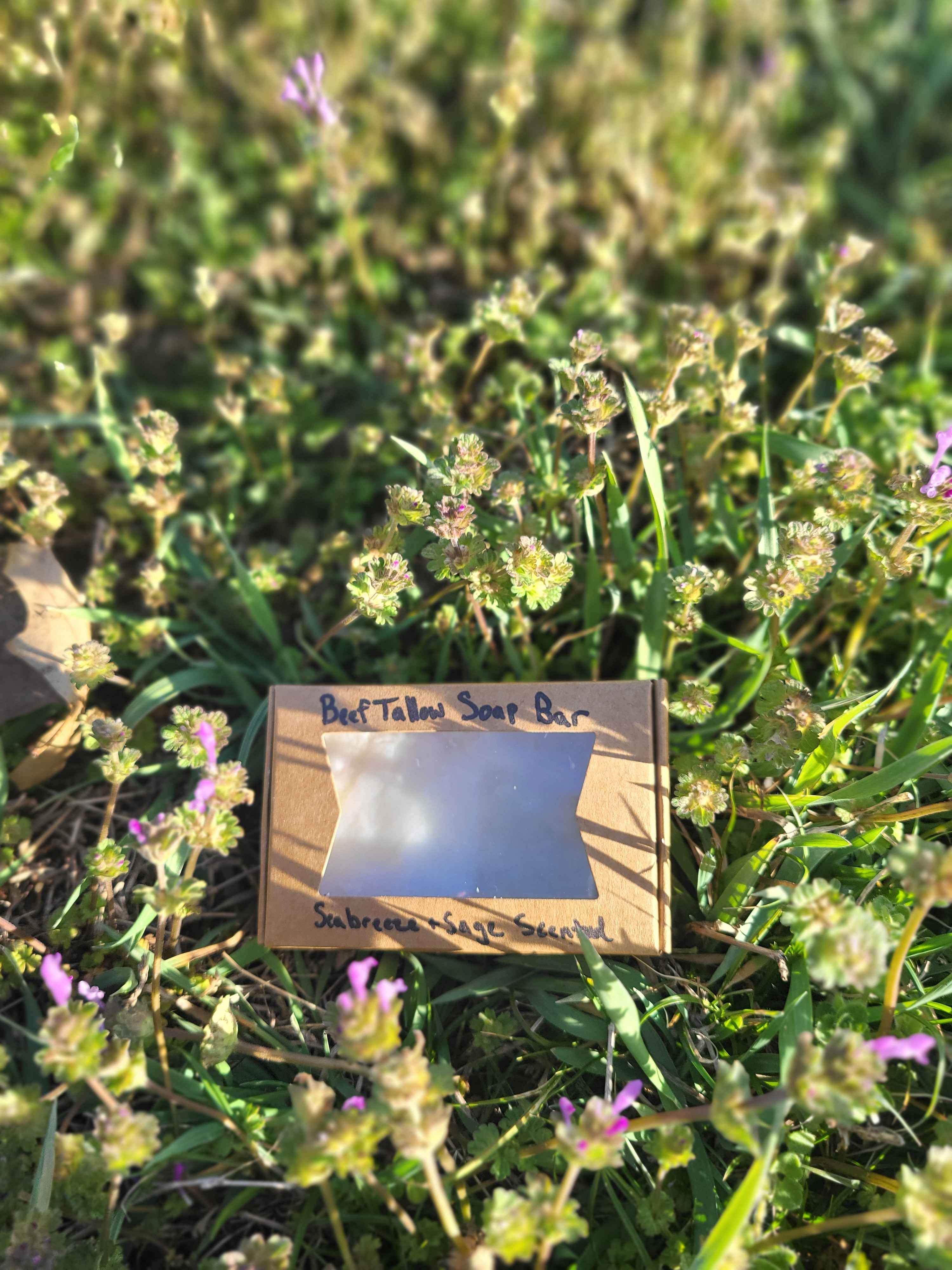 Beef Tallow Bar Soap, Seabreeze and Sage Scented